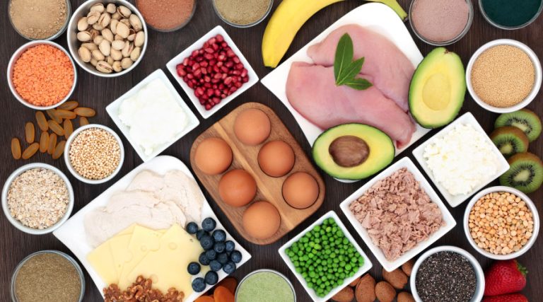 عملکرد پروتئین در بدن