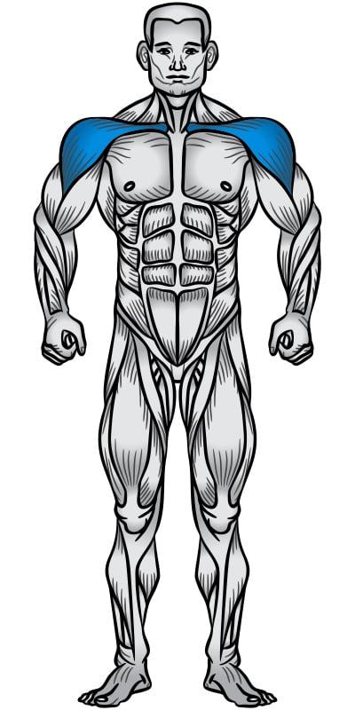 پرس سرشانه اسمیت