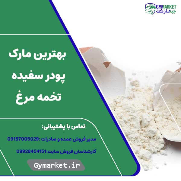 بهترین مارک پودر سفیده تخمه مرغ