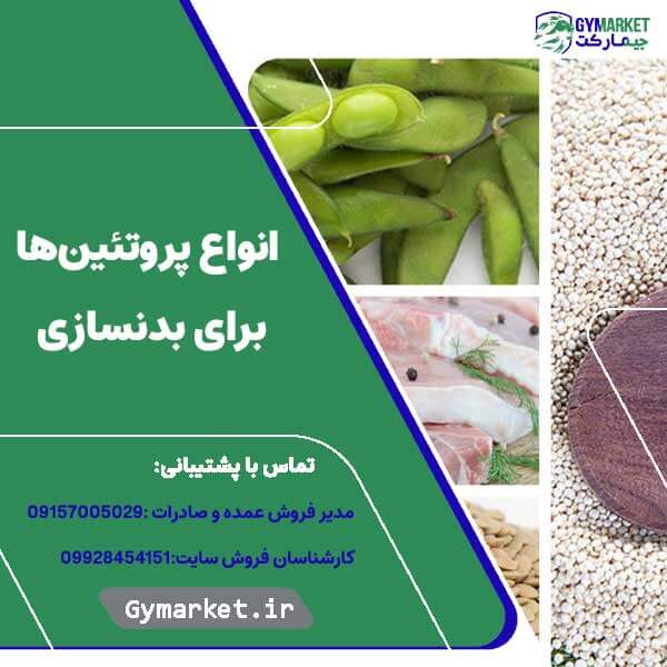 انواع پروتئین‌ها برای بدنسازی