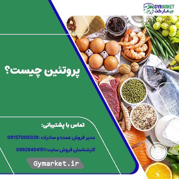 پروتئین چیست؟